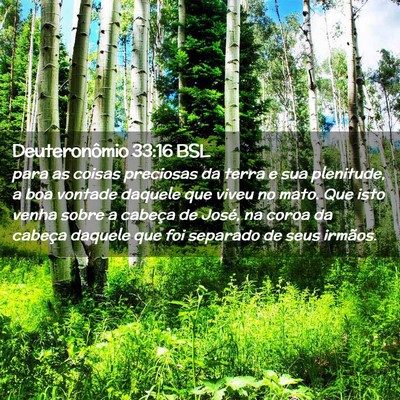 Picture 02 - Deuteronômio 33:16 BSL - para as coisas preciosas da terra e sua - Bible Verse Picture