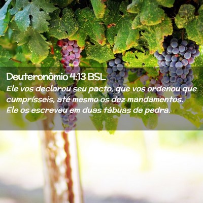 Picture 02 - Deuteronômio 4:13 BSL - Ele vos declarou seu pacto, que vos ordenou que - Bible Verse Picture