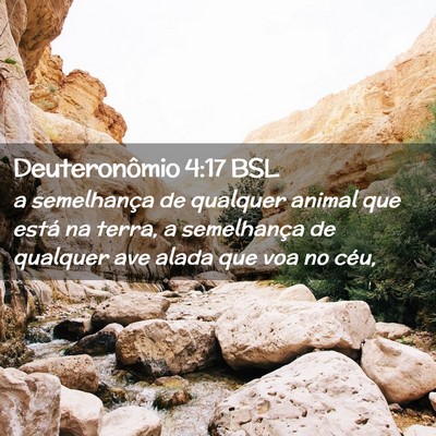 Picture 02 - Deuteronômio 4:17 BSL - a semelhança de qualquer animal que está na - Bible Verse Picture