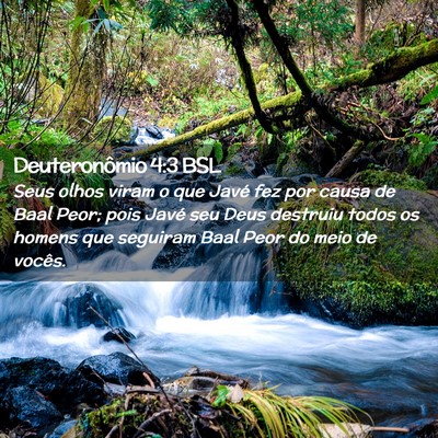 Picture 02 - Deuteronômio 4:3 BSL - Seus olhos viram o que Javé fez por causa de - Bible Verse Picture