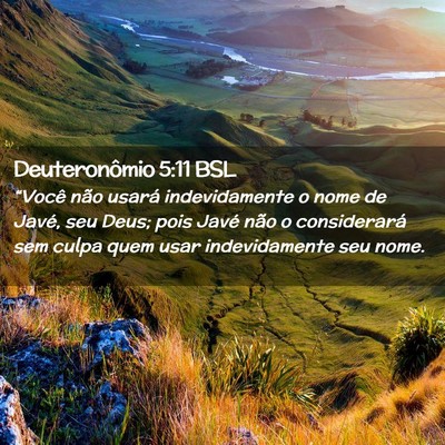 Picture 02 - Deuteronômio 5:11 BSL - “Você não usará indevidamente o nome de - Bible Verse Picture