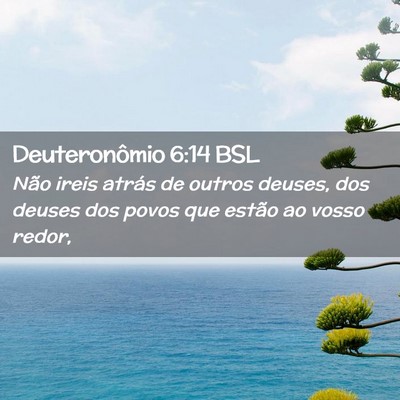 Picture 02 - Deuteronômio 6:14 BSL - Não ireis atrás de outros deuses, dos deuses - Bible Verse Picture