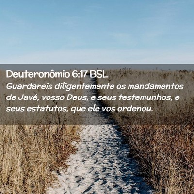 Picture 02 - Deuteronômio 6:17 BSL - Guardareis diligentemente os mandamentos de - Bible Verse Picture