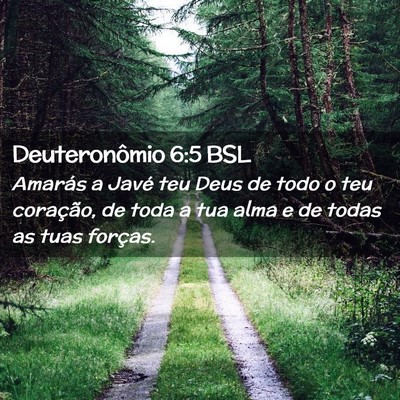 Picture 02 - Deuteronômio 6:5 BSL - Amarás a Javé teu Deus de todo o teu coração, - Bible Verse Picture