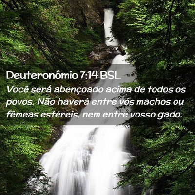 Picture 02 - Deuteronômio 7:14 BSL - Você será abençoado acima de todos os povos. - Bible Verse Picture
