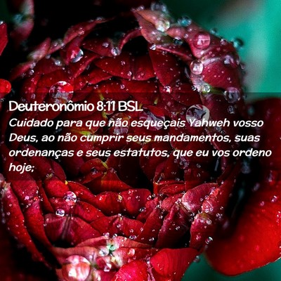Picture 02 - Deuteronômio 8:11 BSL - Cuidado para que não esqueçais Yahweh vosso - Bible Verse Picture