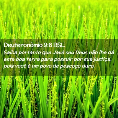 Picture 02 - Deuteronômio 9:6 BSL - Saiba portanto que Javé seu Deus não lhe dá - Bible Verse Picture