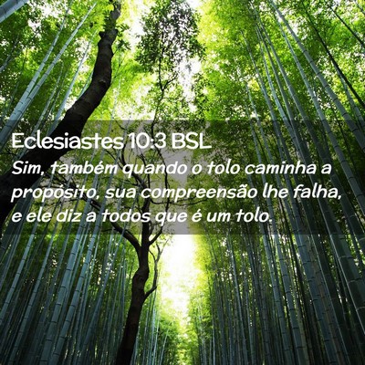 Picture 02 - Eclesiastes 10:3 BSL - Sim, também quando o tolo caminha a propósito, - Bible Verse Picture