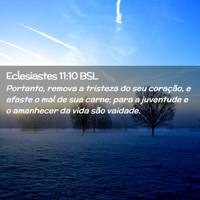 Picture 02 - Eclesiastes 11:10 BSL - Portanto, remova a tristeza do seu coração, e - Bible Verse Picture