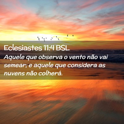 Picture 02 - Eclesiastes 11:4 BSL - Aquele que observa o vento não vai semear; e - Bible Verse Picture