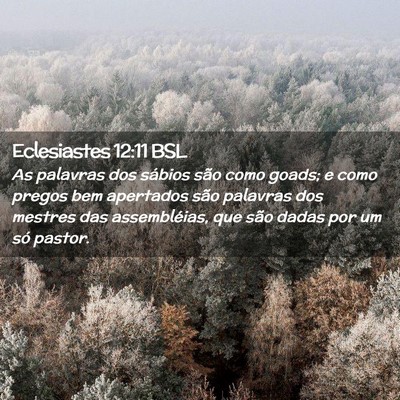 Picture 02 - Eclesiastes 12:11 BSL - As palavras dos sábios são como goads; e como - Bible Verse Picture