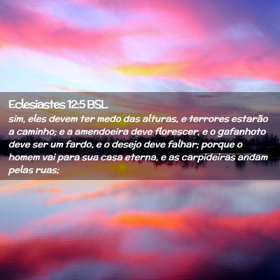 Picture 02 - Eclesiastes 12:5 BSL - sim, eles devem ter medo das alturas, e terrores - Bible Verse Picture