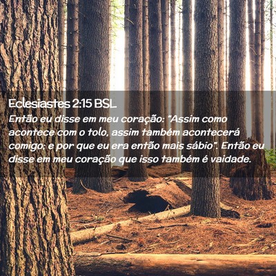 Picture 02 - Eclesiastes 2:15 BSL - Então eu disse em meu coração: “Assim como - Bible Verse Picture