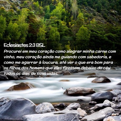 Picture 02 - Eclesiastes 2:3 BSL - Procurei em meu coração como alegrar minha - Bible Verse Picture