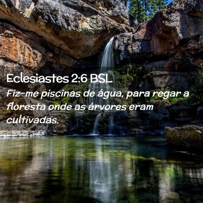 Picture 02 - Eclesiastes 2:6 BSL - Fiz-me piscinas de água, para regar a floresta - Bible Verse Picture