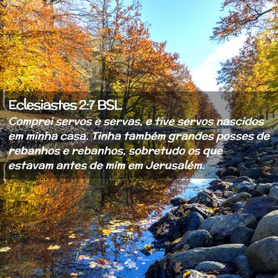 Picture 02 - Eclesiastes 2:7 BSL - Comprei servos e servas, e tive servos nascidos - Bible Verse Picture