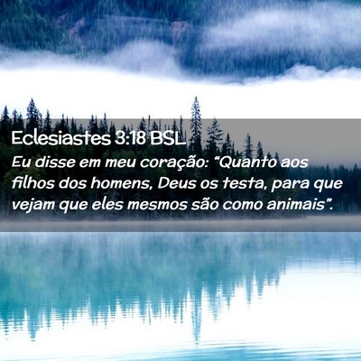 Picture 02 - Eclesiastes 3:18 BSL - Eu disse em meu coração: “Quanto aos filhos - Bible Verse Picture