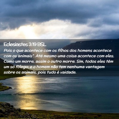Picture 02 - Eclesiastes 3:19 BSL - Pois o que acontece com os filhos dos homens - Bible Verse Picture
