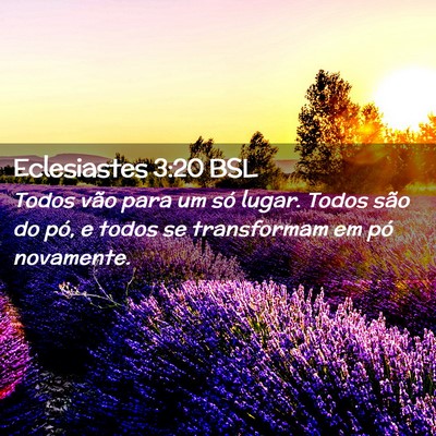 Picture 02 - Eclesiastes 3:20 BSL - Todos vão para um só lugar. Todos são do pó, - Bible Verse Picture