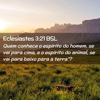 Picture 02 - Eclesiastes 3:21 BSL - Quem conhece o espírito do homem, se vai para - Bible Verse Picture