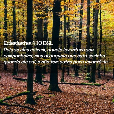 Picture 02 - Eclesiastes 4:10 BSL - Pois se eles caírem, aquele levantará seu - Bible Verse Picture