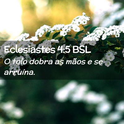 Picture 02 - Eclesiastes 4:5 BSL - O tolo dobra as mãos e se - Bible Verse Picture