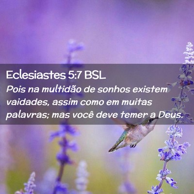 Picture 02 - Eclesiastes 5:7 BSL - Pois na multidão de sonhos existem vaidades, - Bible Verse Picture