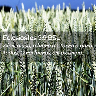 Picture 02 - Eclesiastes 5:9 BSL - Além disso, o lucro da terra é para todos. O - Bible Verse Picture
