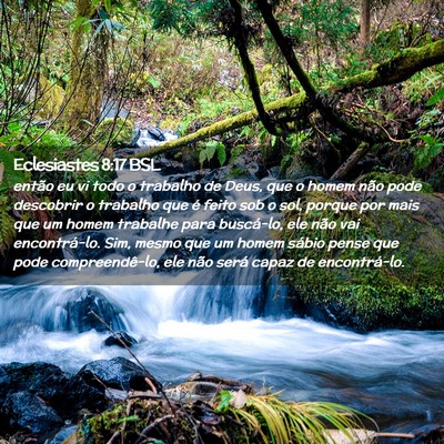 Picture 02 - Eclesiastes 8:17 BSL - então eu vi todo o trabalho de Deus, que o homem - Bible Verse Picture