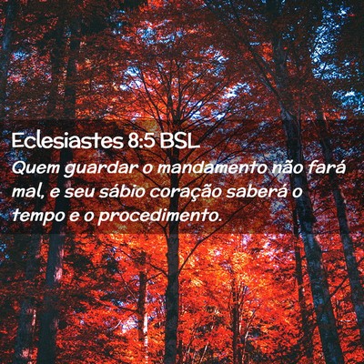 Picture 02 - Eclesiastes 8:5 BSL - Quem guardar o mandamento não fará mal, e seu - Bible Verse Picture