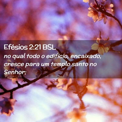 Picture 02 - Efésios 2:21 BSL - no qual todo o edifício, encaixado, cresce para - Bible Verse Picture