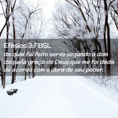 Picture 02 - Efésios 3:7 BSL - da qual fui feito servo segundo o dom daquela - Bible Verse Picture