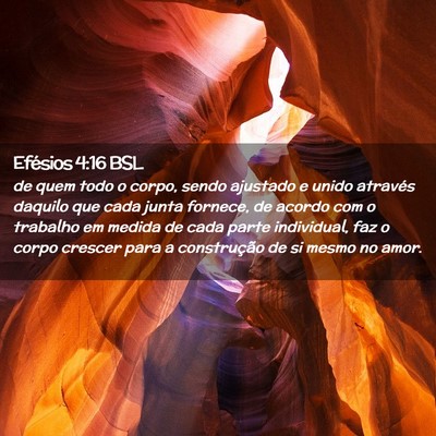 Picture 02 - Efésios 4:16 BSL - de quem todo o corpo, sendo ajustado e unido - Bible Verse Picture