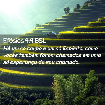 Picture 02 - Efésios 4:4 BSL - Há um só corpo e um só Espírito, como vocês - Bible Verse Picture