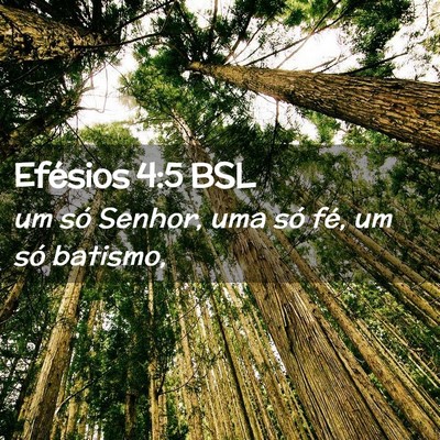 Picture 02 - Efésios 4:5 BSL - um só Senhor, uma só fé, um só - Bible Verse Picture