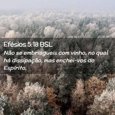 Picture 02 - Efésios 5:18 BSL - Não se embriagueis com vinho, no qual há - Bible Verse Picture