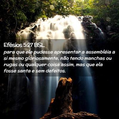 Picture 02 - Efésios 5:27 BSL - para que ele pudesse apresentar a assembléia a - Bible Verse Picture