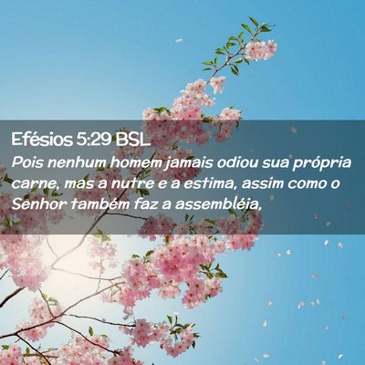 Picture 02 - Efésios 5:29 BSL - Pois nenhum homem jamais odiou sua própria - Bible Verse Picture