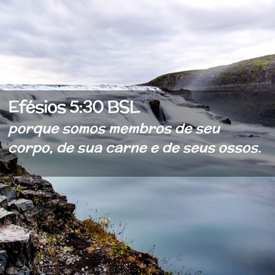 Picture 02 - Efésios 5:30 BSL - porque somos membros de seu corpo, de sua carne e - Bible Verse Picture