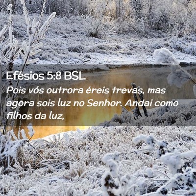 Picture 02 - Efésios 5:8 BSL - Pois vós outrora éreis trevas, mas agora sois - Bible Verse Picture