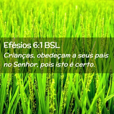 Picture 02 - Efésios 6:1 BSL - Crianças, obedeçam a seus pais no Senhor, pois - Bible Verse Picture