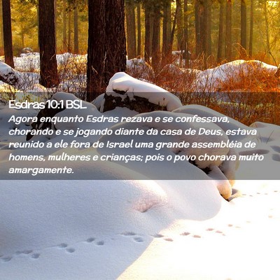 Picture 02 - Esdras 10:1 BSL - Agora enquanto Esdras rezava e se confessava, - Bible Verse Picture