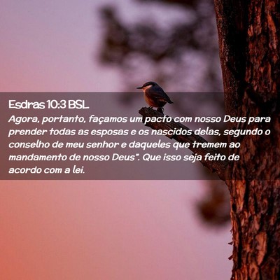 Picture 02 - Esdras 10:3 BSL - Agora, portanto, façamos um pacto com nosso Deus - Bible Verse Picture