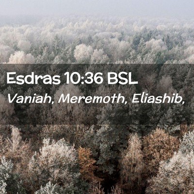 Picture 02 - Esdras 10:36 BSL - Vaniah, Meremoth, - Bible Verse Picture