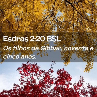 Picture 02 - Esdras 2:20 BSL - Os filhos de Gibbar, noventa e cinco - Bible Verse Picture