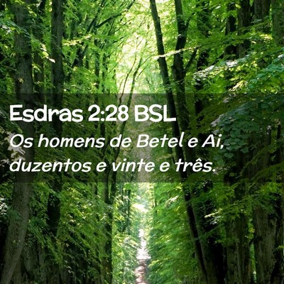 Picture 02 - Esdras 2:28 BSL - Os homens de Betel e Ai, duzentos e vinte e - Bible Verse Picture