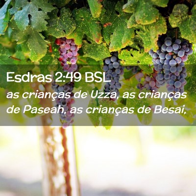 Picture 02 - Esdras 2:49 BSL - as crianças de Uzza, as crianças de Paseah, as - Bible Verse Picture