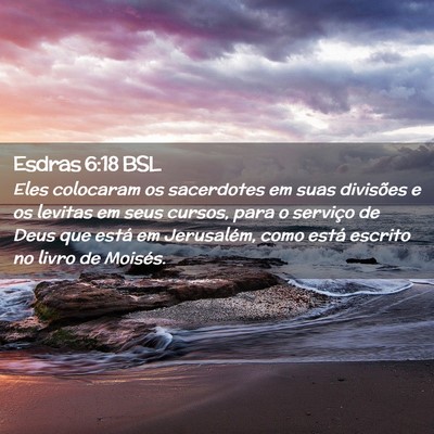 Picture 02 - Esdras 6:18 BSL - Eles colocaram os sacerdotes em suas divisões e - Bible Verse Picture