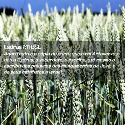 Picture 02 - Esdras 7:11 BSL - Agora esta é a cópia da carta que o rei - Bible Verse Picture
