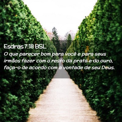 Picture 02 - Esdras 7:18 BSL - O que parecer bom para você e para seus irmãos - Bible Verse Picture